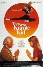 Парень-каратист 4 (Еще один малыш каратист)(The Next Karate Kid)