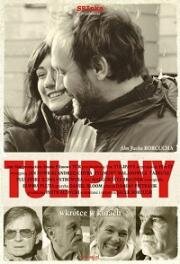Тюльпаны(Tulipany)