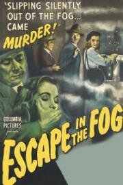 Побег в тумане(Escape in the Fog)